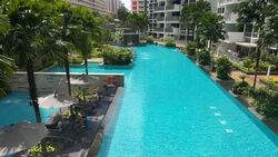 Oasis @ Elias (D18), Condominium #571330531